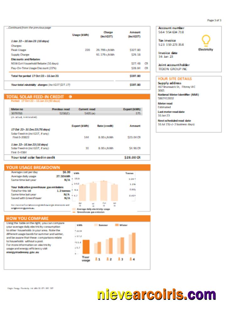 New South Wales (NSW) Origin electricity utility business bill,, page 3